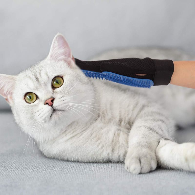 Grooming Glove