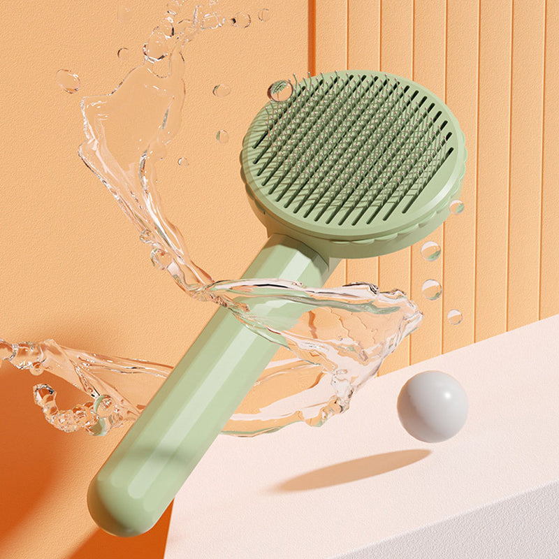 Hair Remover Brush