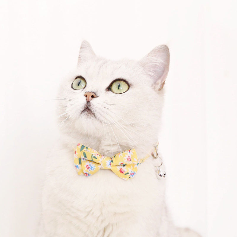 Yellow Flower Collar