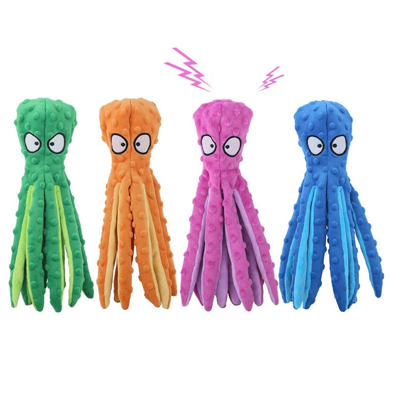 8 Legs Octopus