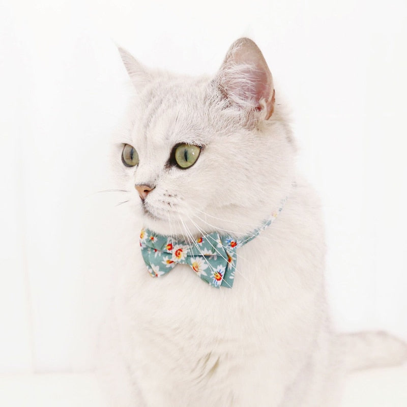 Light Blue Flower Collar