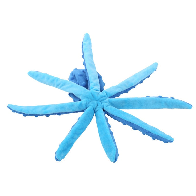 8 Legs Octopus