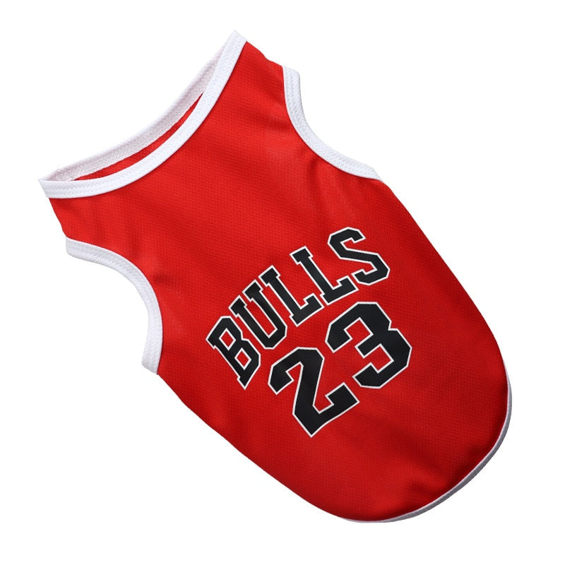 Bulls Jersey