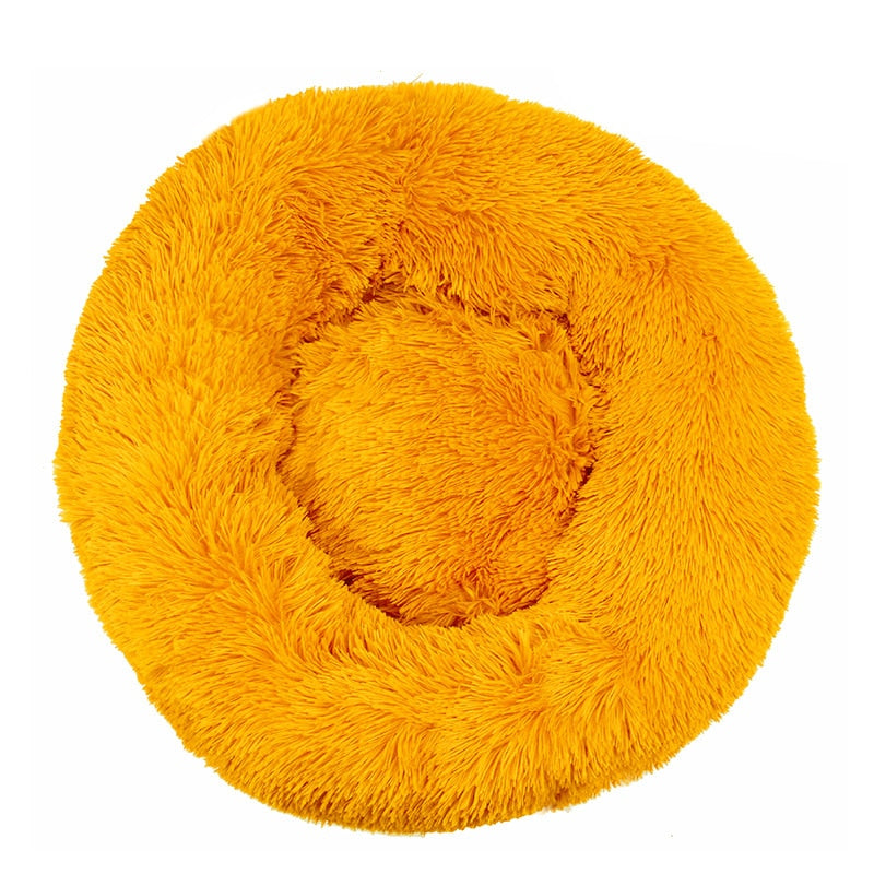 Clear Orange Donut Bed