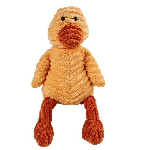 Mr Duck