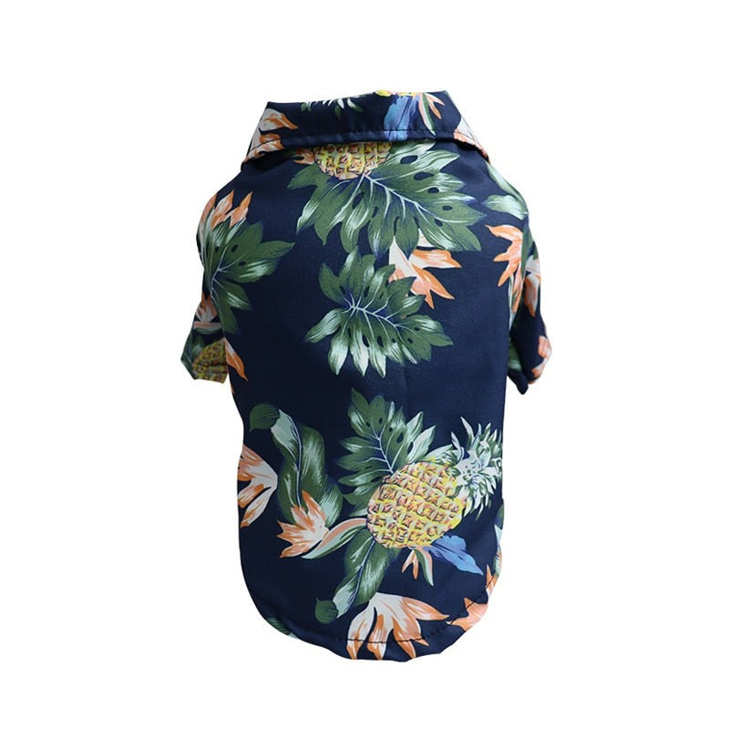 Saphire Shirt