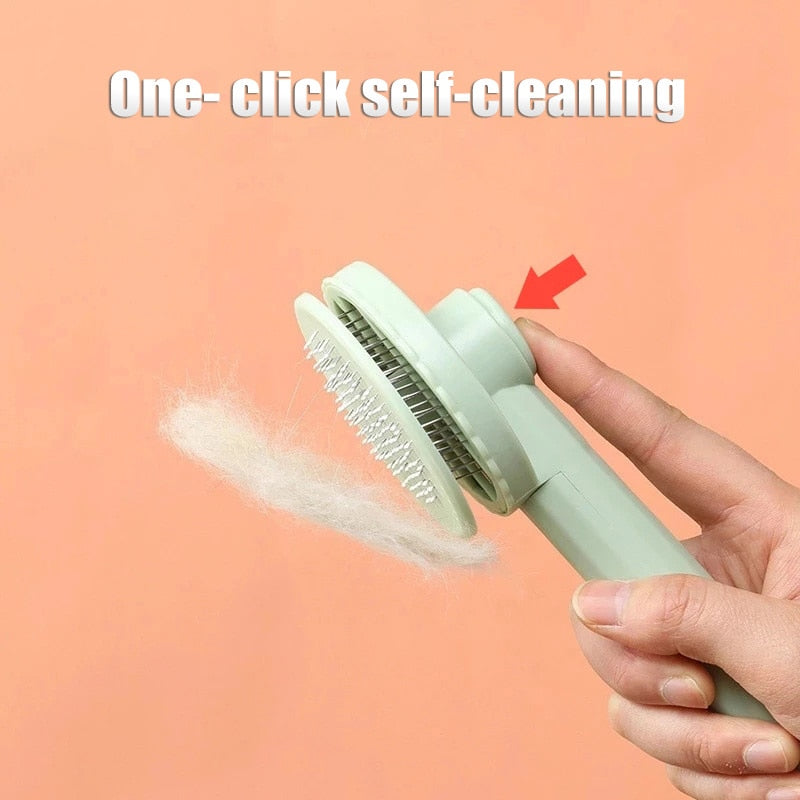 Hair Remover Brush