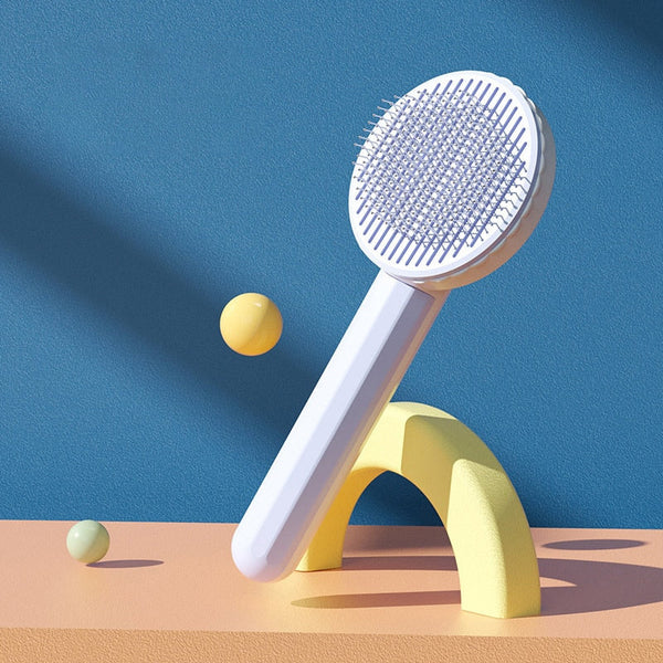 Hair Remover Brush