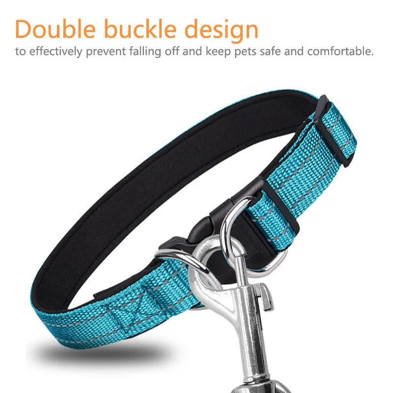 Blue Reflective Collar