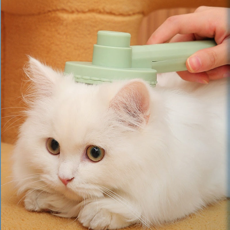 Hair Remover Brush